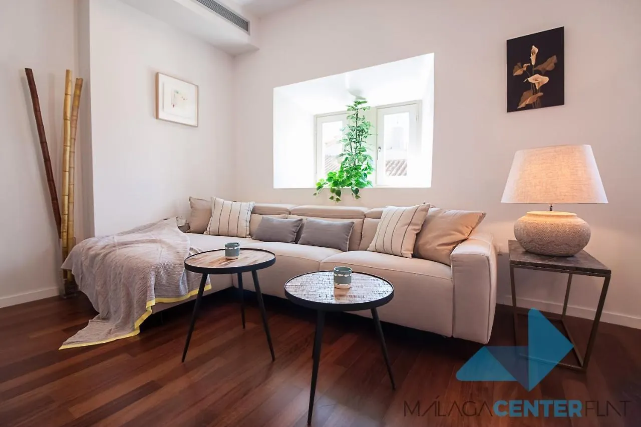 Appartement Malaga Center Flat Luxury